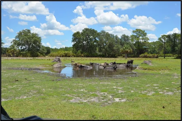 a vase of flowers sitting on a floor
