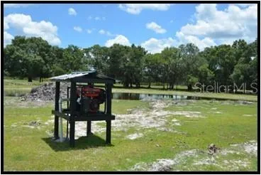 a close up of a plant in a garden