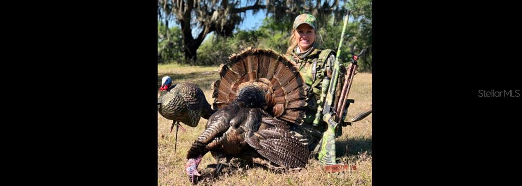 7019 Crooked Creek Lane Zolfo Springs, FL 33890 - Photo 50 of 51 a close up of a plant in a garden