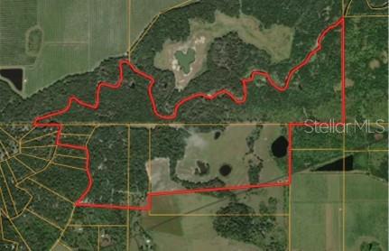 7019 Crooked Creek Lane Zolfo Springs, FL 33890 - Photo 5 of 51