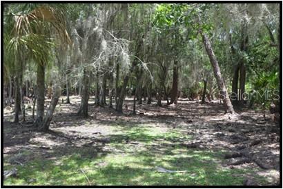 7019 Crooked Creek Lane Zolfo Springs, FL 33890 - Photo 6 of 51 a view of outdoor space with trees