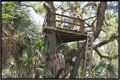 a view of a chairs and table in patio