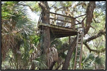 7019 Crooked Creek Lane Zolfo Springs, FL 33890 - Photo 8 of 51 a view of backyard from a tree