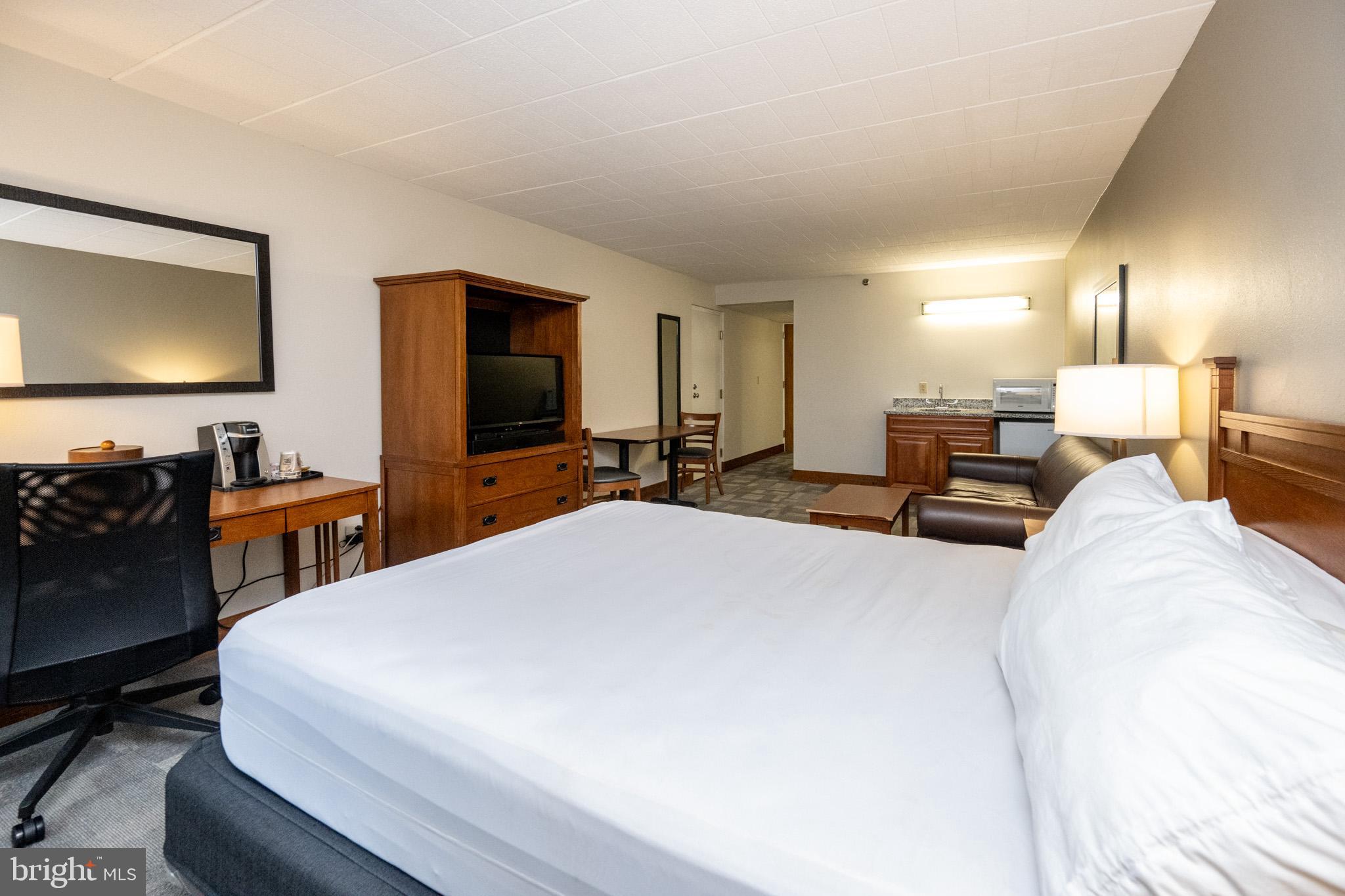 290 Marsh Hill Road, Unit 224A McHenry, MD 21541 - Photo 12 of 30 a bed room with a bed and a flat tv screen on dresser