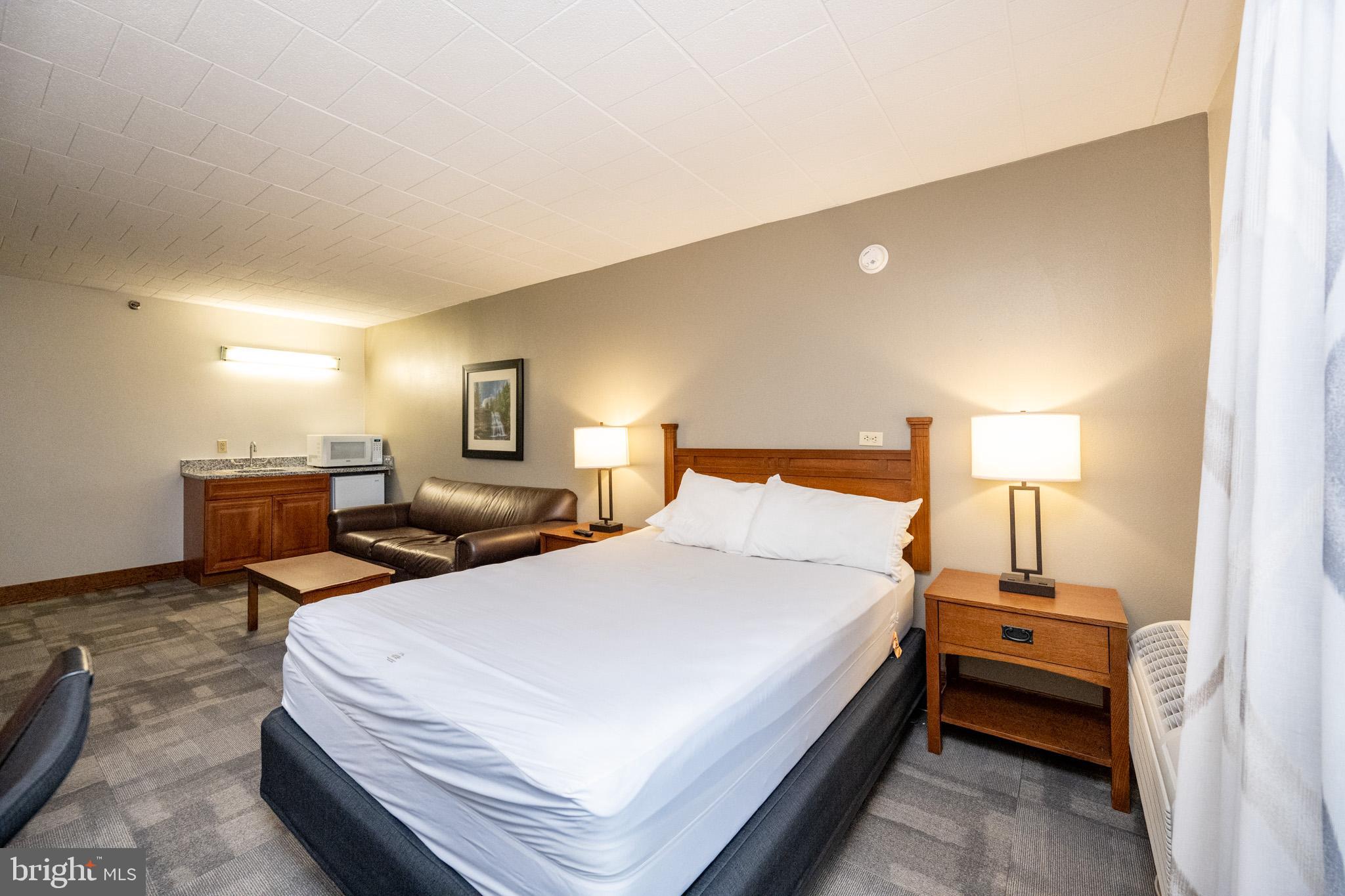 290 Marsh Hill Road, Unit 224A McHenry, MD 21541 - Photo 13 of 30 a bedroom with bed and a lamp