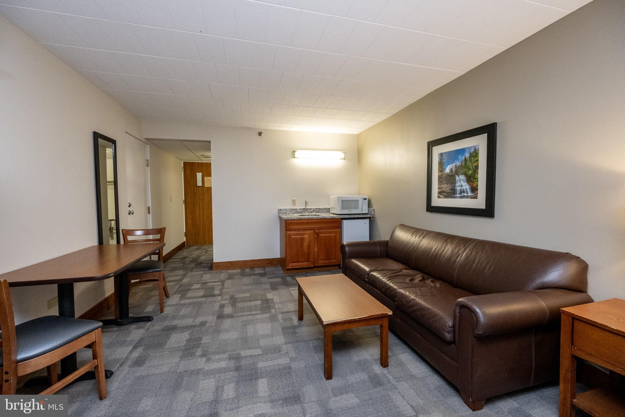 290 Marsh Hill Road, Unit 224A McHenry, MD 21541 - Photo 14 of 30 a living room with furniture