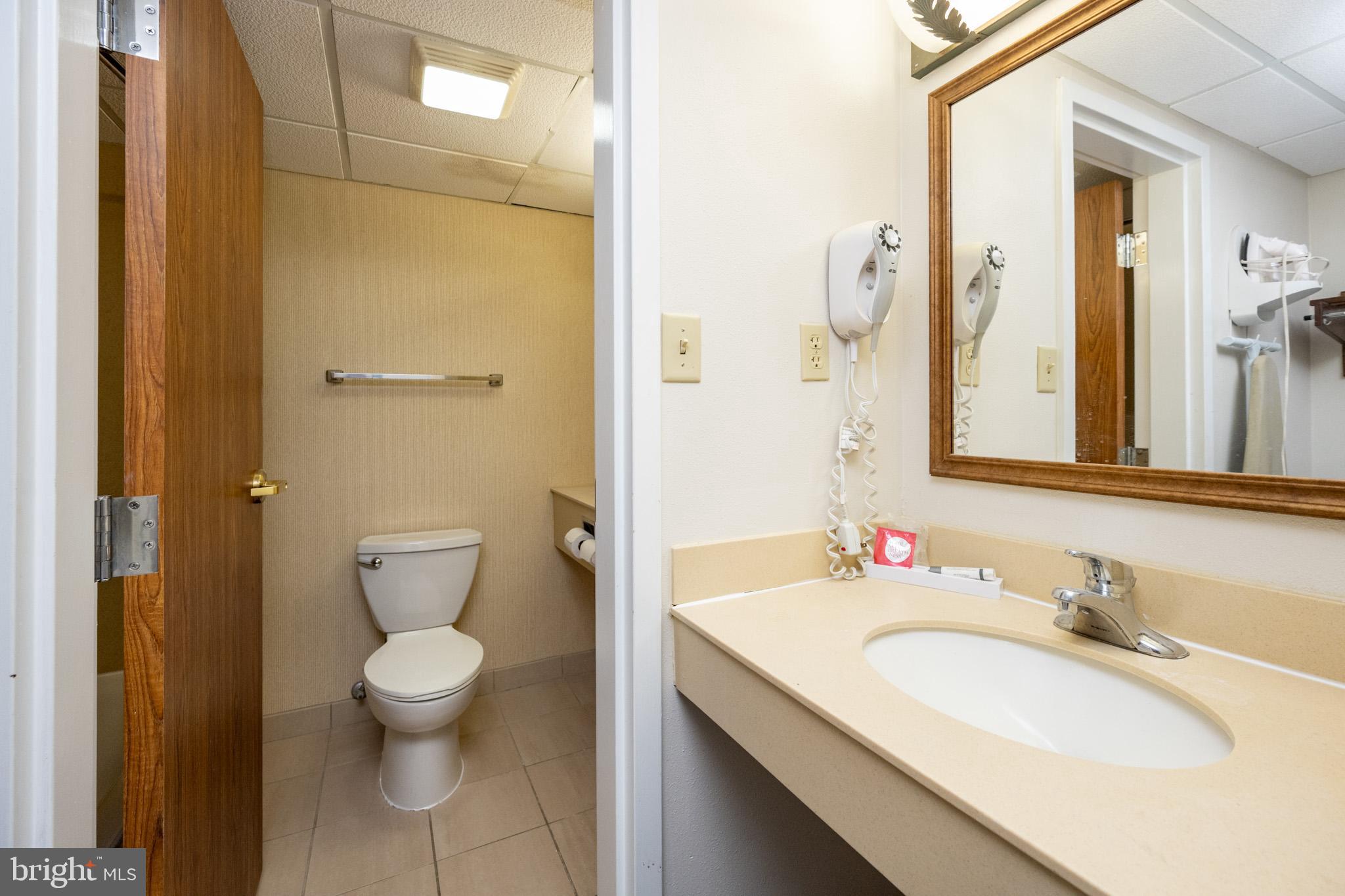 290 Marsh Hill Road, Unit 224A McHenry, MD 21541 - Photo 16 of 30 a bathroom with a granite countertop sink toilet and shower
