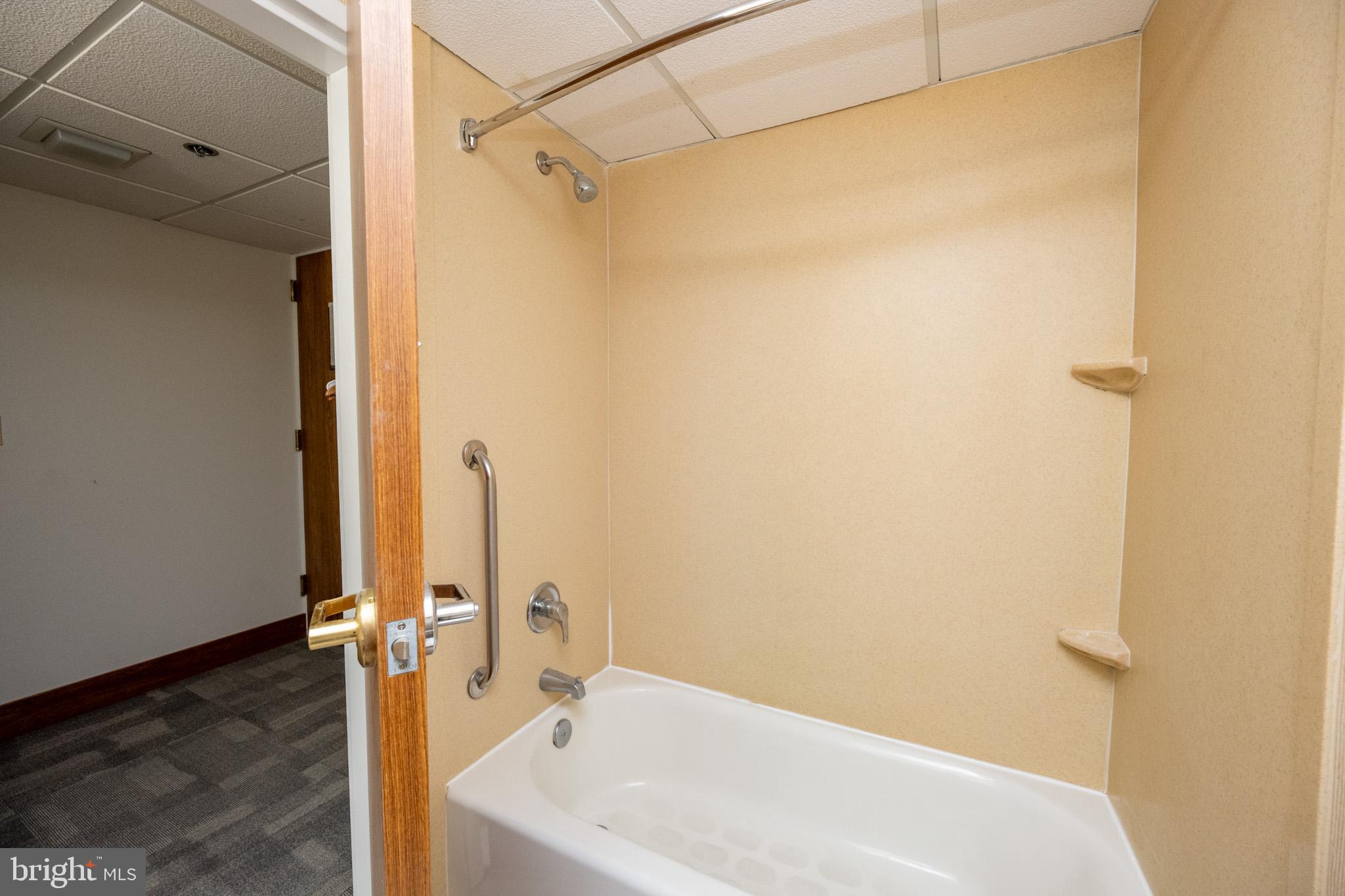 290 Marsh Hill Road, Unit 224A McHenry, MD 21541 - Photo 17 of 30 a bathroom with a bathtub and shower