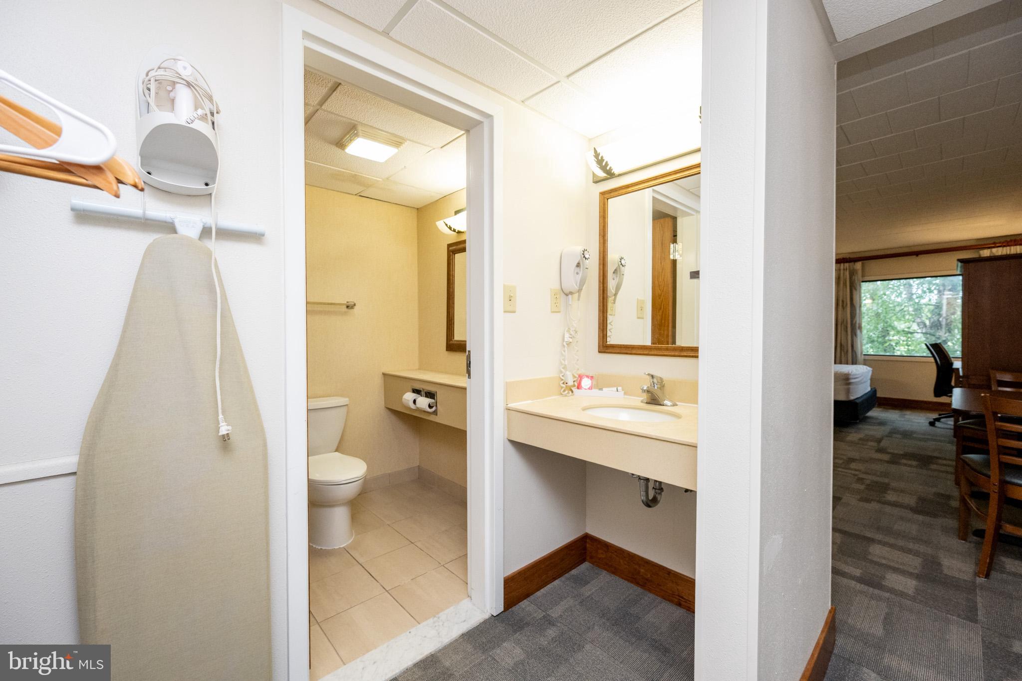 290 Marsh Hill Road, Unit 224A McHenry, MD 21541 - Photo 19 of 30 a bathroom with a sink a toilet and a mirror