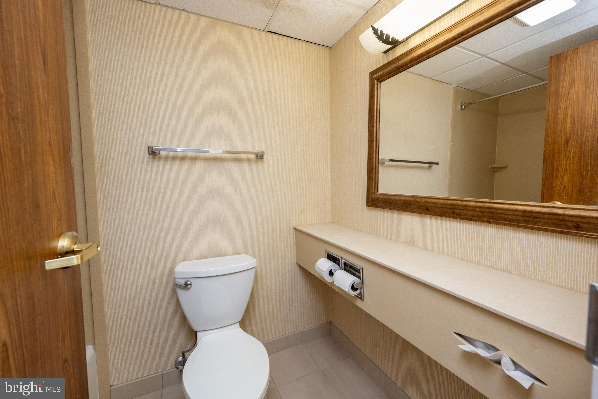 290 Marsh Hill Road, Unit 224A McHenry, MD 21541 - Photo 21 of 30 a bathroom with a toilet sink and mirror