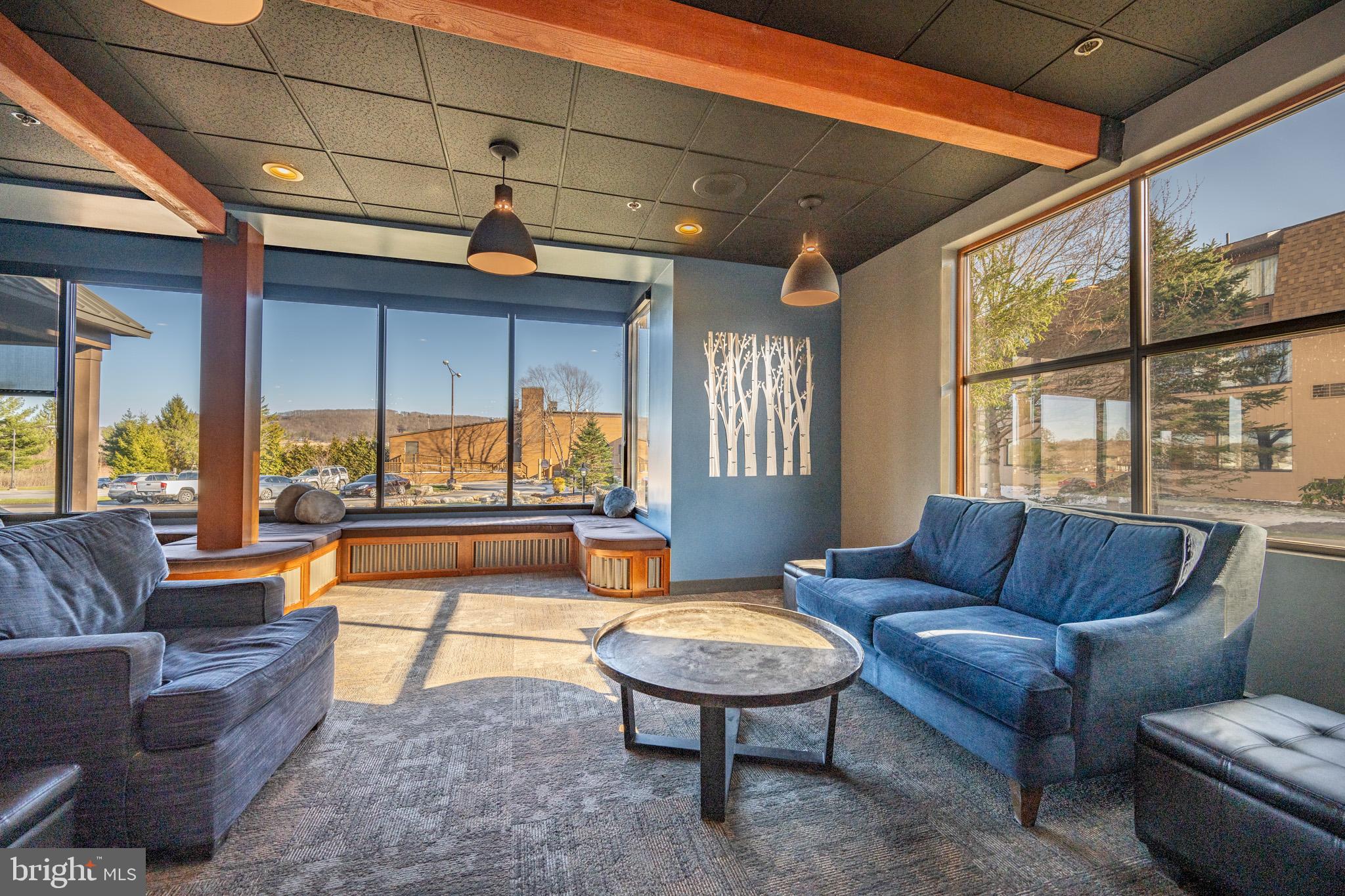 290 Marsh Hill Road, Unit 224A McHenry, MD 21541 - Photo 24 of 30 a living room with furniture a rug and a large window