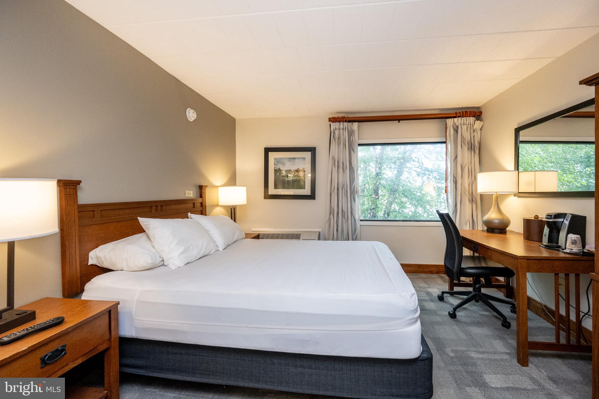 290 Marsh Hill Road, Unit 224A McHenry, MD 21541 - Photo 7 of 30 a bedroom with a bed a large window and a potted plant on the dresser