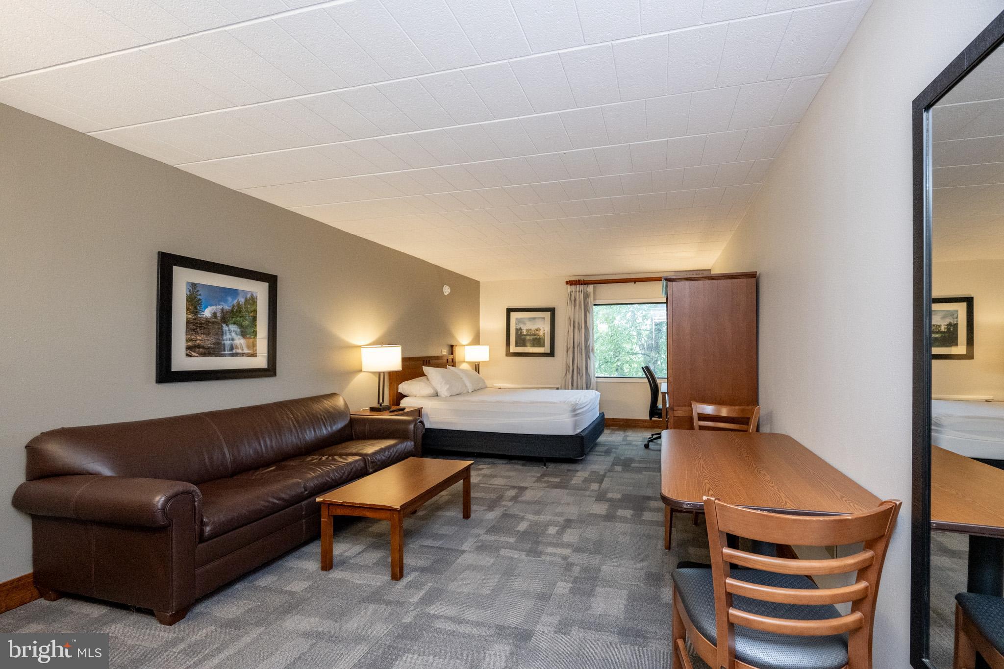 290 Marsh Hill Road, Unit 224A McHenry, MD 21541 - Photo 8 of 30 a living room with furniture and a flat screen tv