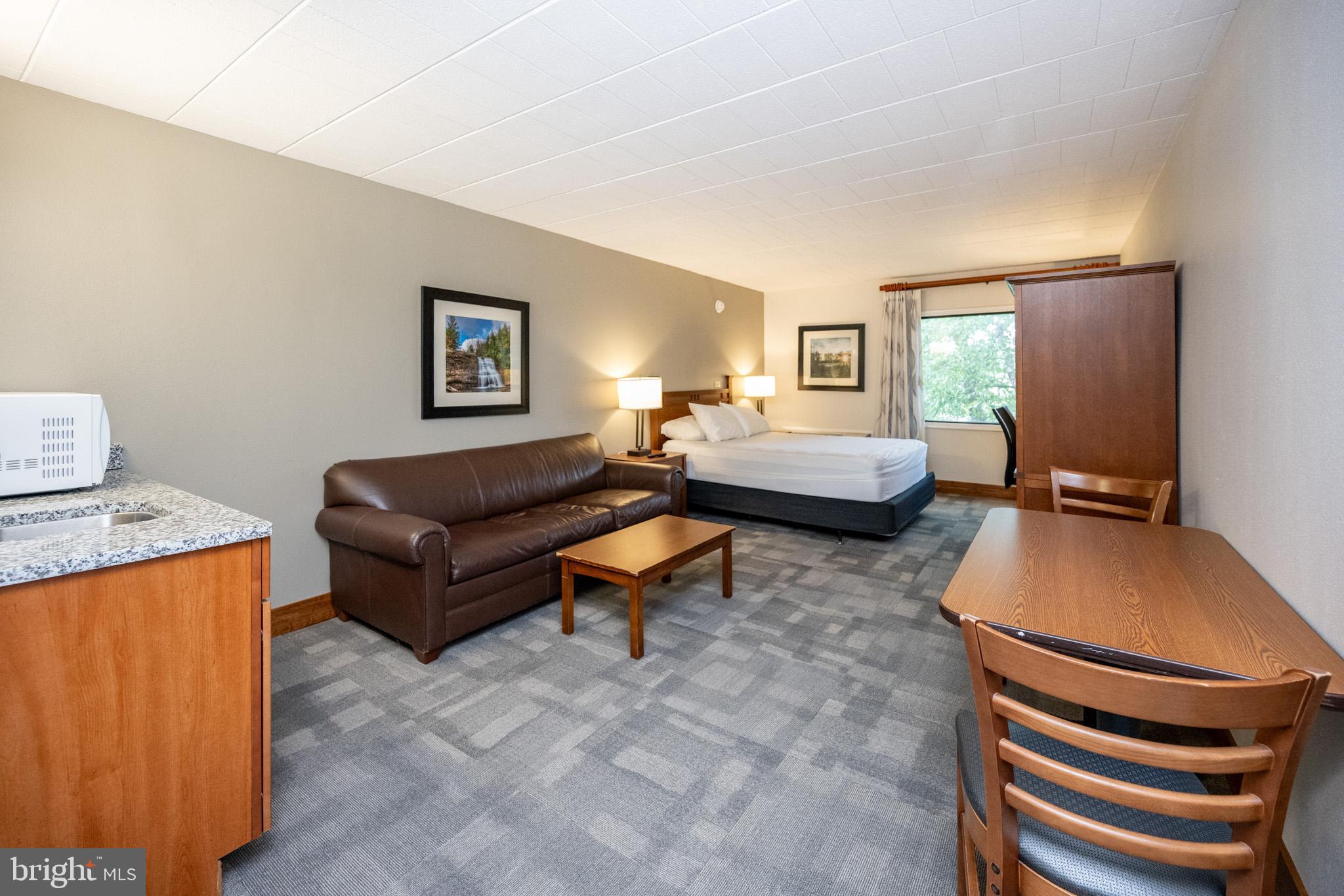 290 Marsh Hill Road, Unit 224A McHenry, MD 21541 - Photo 9 of 30 a bedroom with furniture and a air conditioner vent