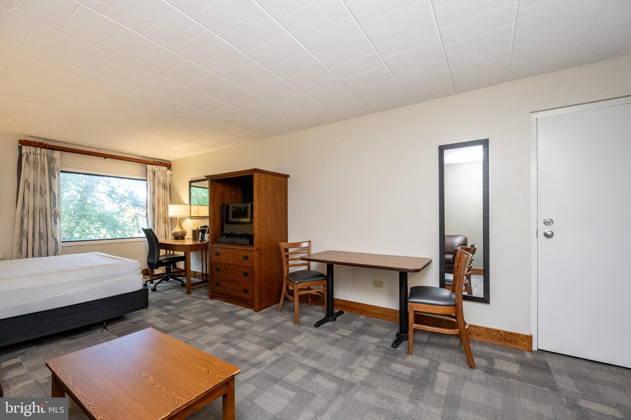 290 Marsh Hill Road, Unit 224A McHenry, MD 21541 - Photo 10 of 30 a living room with furniture a window and a lamp