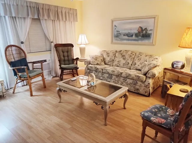 a living room with furniture a rug and a window
