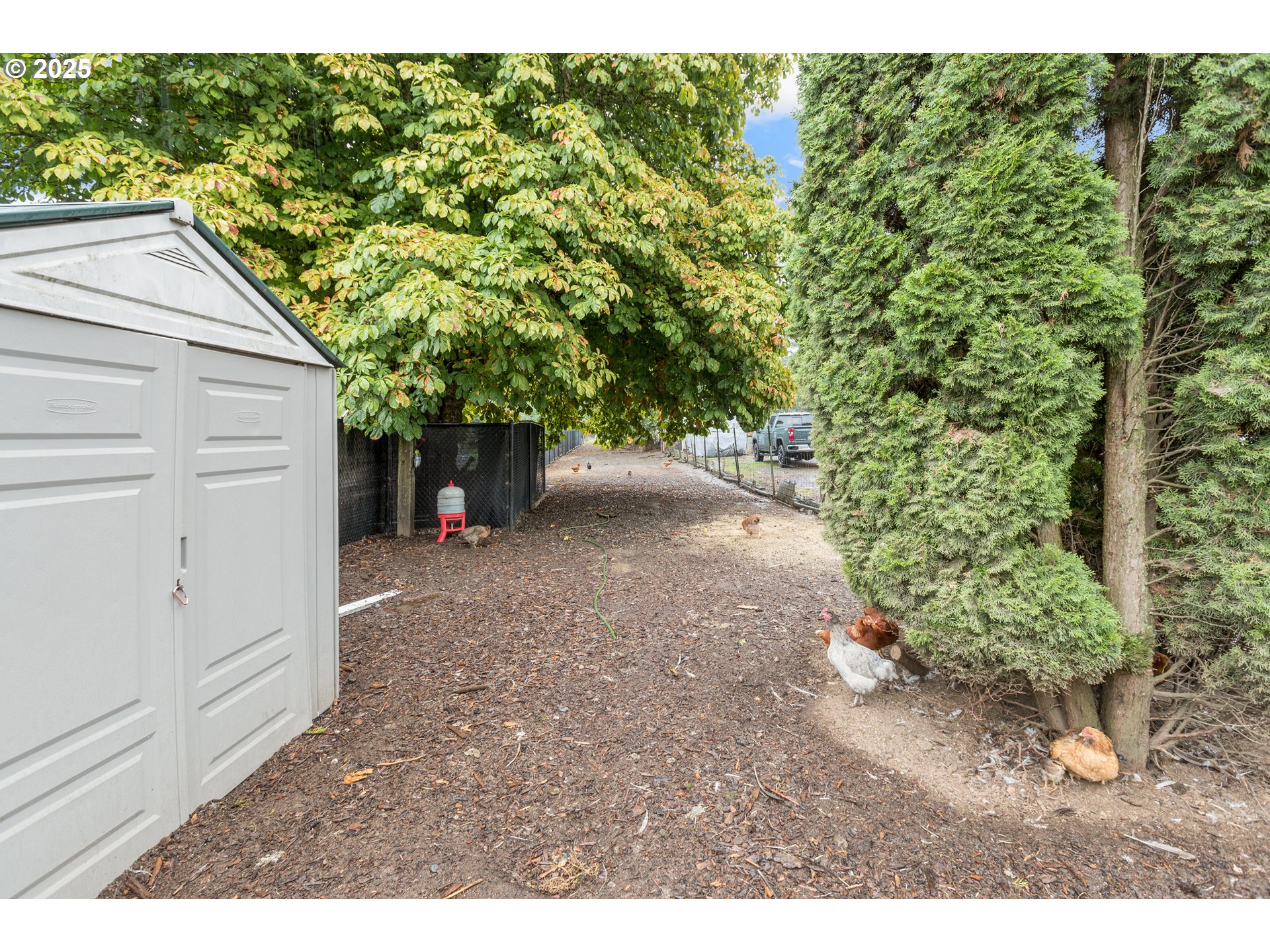 16326 Butteville Road Northeast Woodburn, OR 97071 - Photo 40 of 48 a view of a backyard of the house