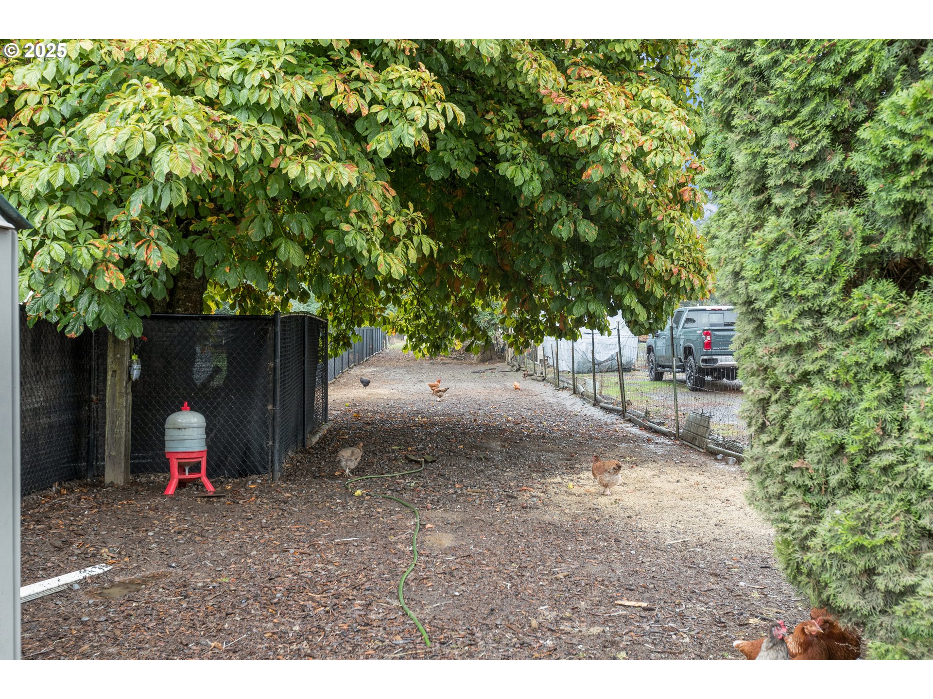 16326 Butteville Road Northeast Woodburn, OR 97071 - Photo 41 of 48 a backyard of a house with table and chairs