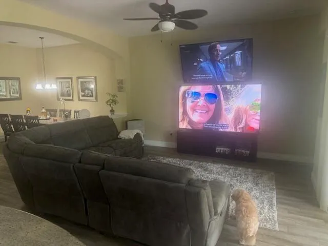 a living room with furniture and wall paintings
