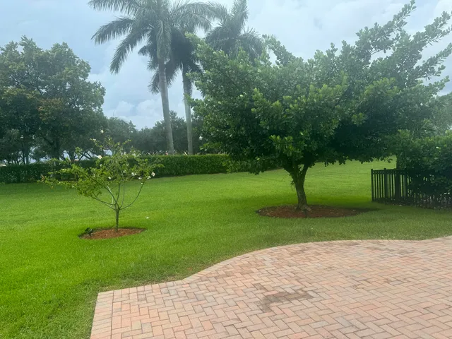 a park view with a fountain