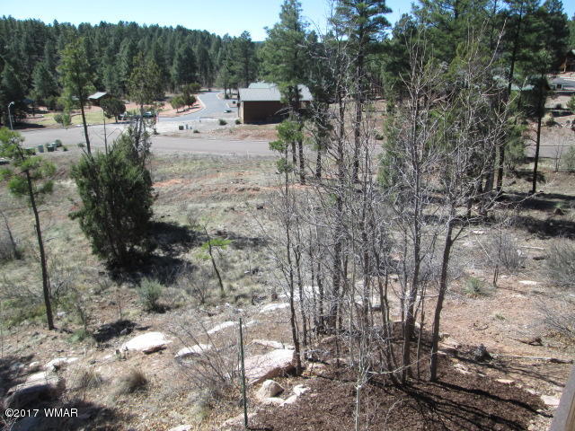1891 North Bison Ridge Trail, Unit 12 Show Low, AZ 85901 - Photo 23 of 33