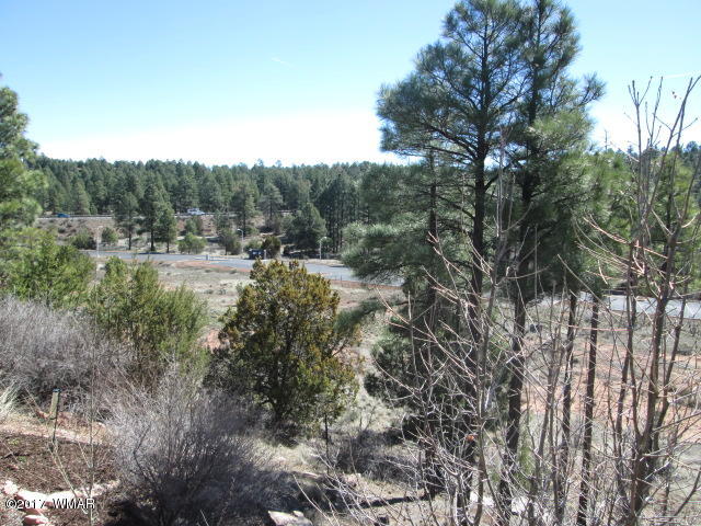1891 North Bison Ridge Trail, Unit 12 Show Low, AZ 85901 - Photo 24 of 33