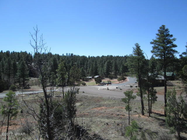 1891 North Bison Ridge Trail, Unit 12 Show Low, AZ 85901 - Photo 25 of 33