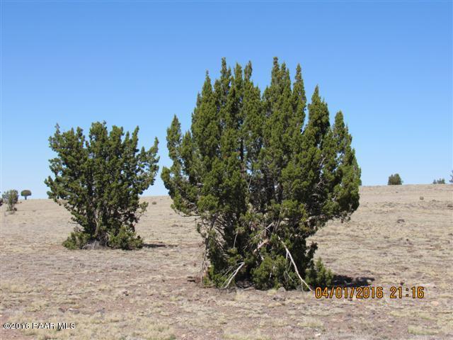 271 Antelope Run Road Ash Fork, AZ 86320 - Photo 7 of 7 Jacobs Lot 271 JWR pics 013 (Small)