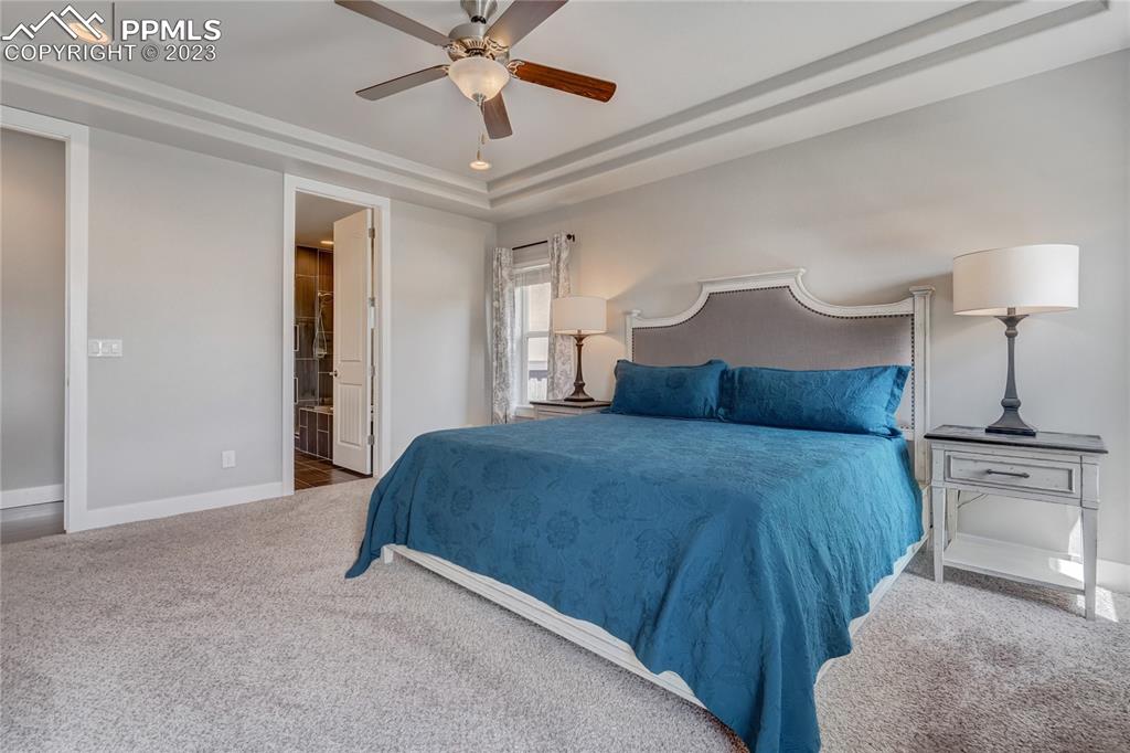 11590 Spectacular Bid Circle Colorado Springs, CO 80921 - Photo 19 of 49 a bedroom with a large bed and a chandelier