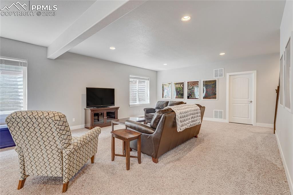11590 Spectacular Bid Circle Colorado Springs, CO 80921 - Photo 29 of 49 a living room with furniture and a flat screen tv