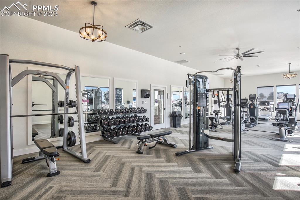 11590 Spectacular Bid Circle Colorado Springs, CO 80921 - Photo 45 of 49