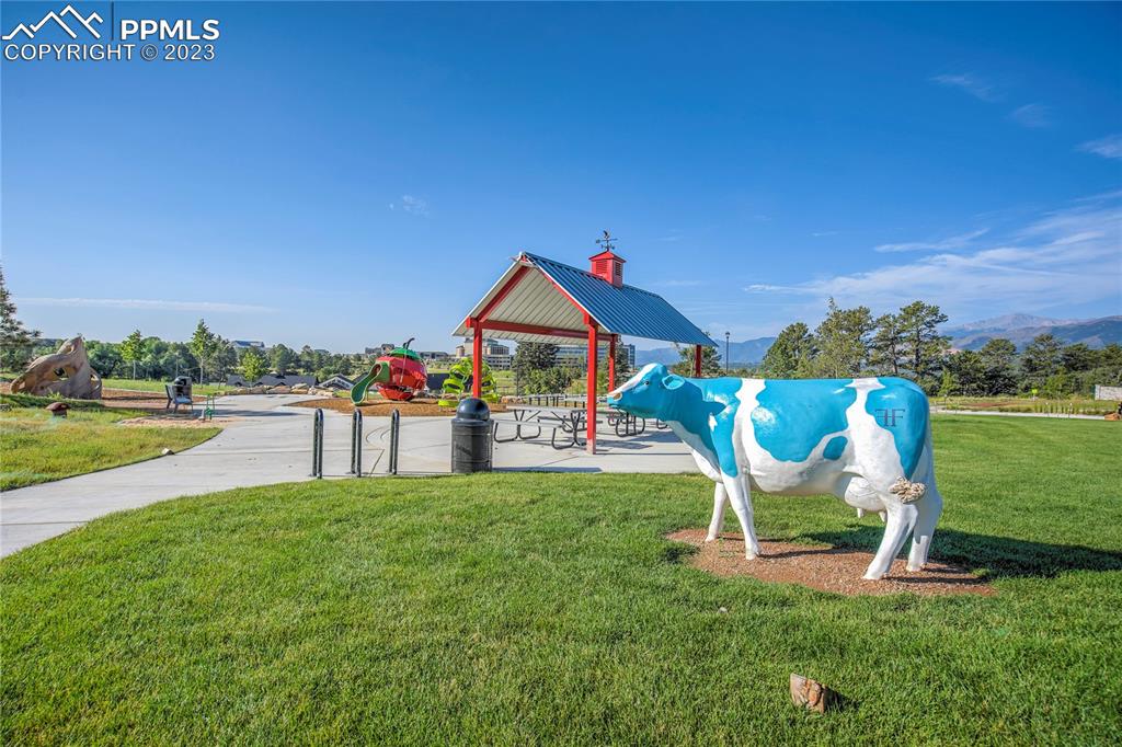 11590 Spectacular Bid Circle Colorado Springs, CO 80921 - Photo 48 of 49 a house with swimming pool in front of it