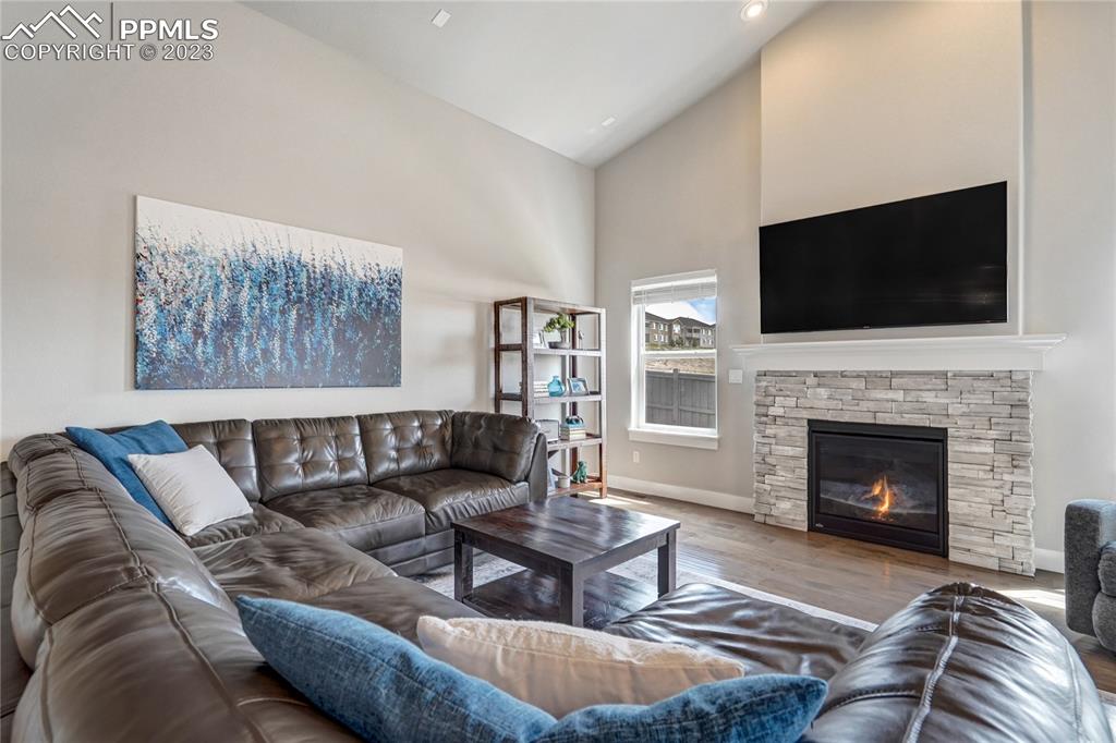 11590 Spectacular Bid Circle Colorado Springs, CO 80921 - Photo 7 of 49 a living room with furniture a flat screen tv and a fireplace