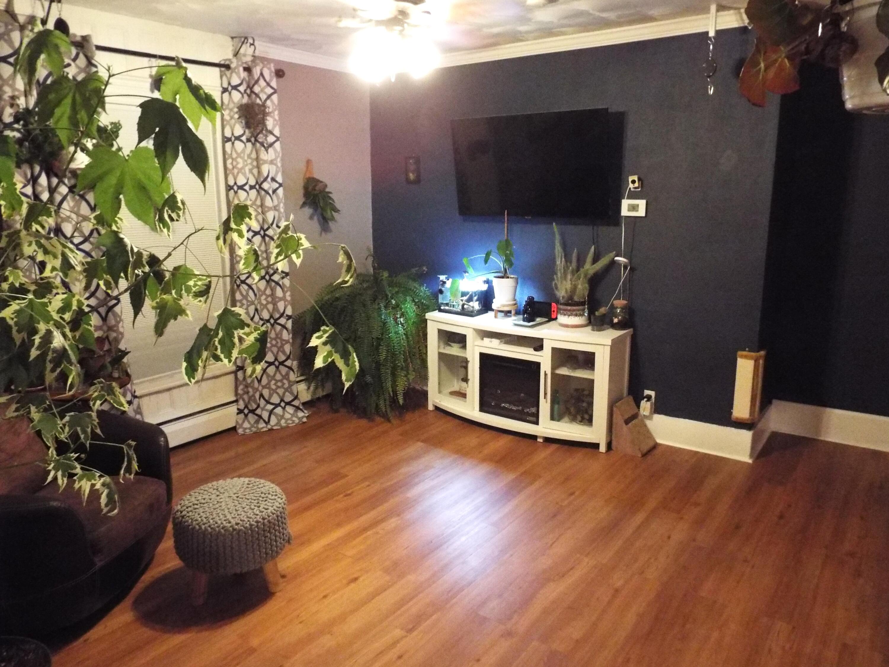 48 6th Street Bangor, ME 04401 - Photo 46 of 55 Moscone 48