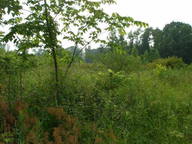 0 Cunot Cataract Road Poland, IN 47460 - Photo 1 of 1 Gallery Image 1