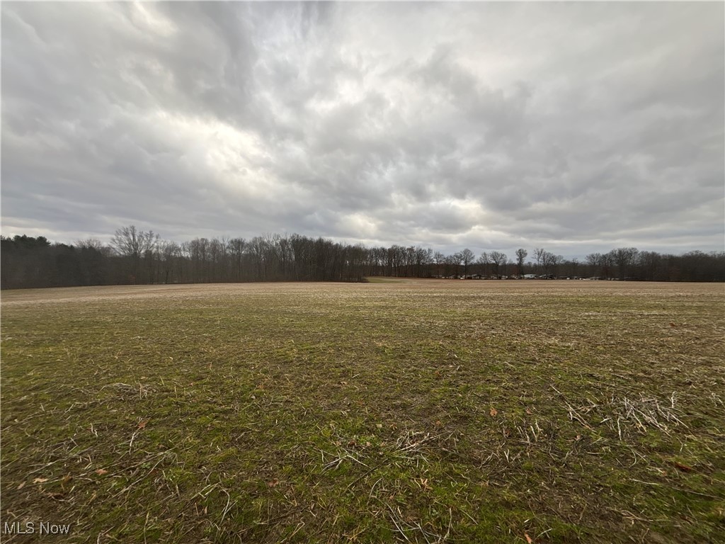 225 St Route Ravenna, OH 44266 - Photo 4 of 6