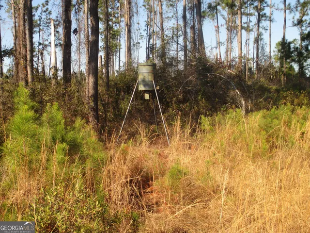 a view of a green field with lots of bushes