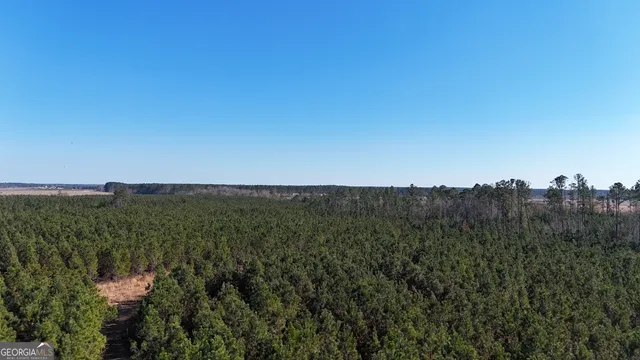 a view of a field with an ocean