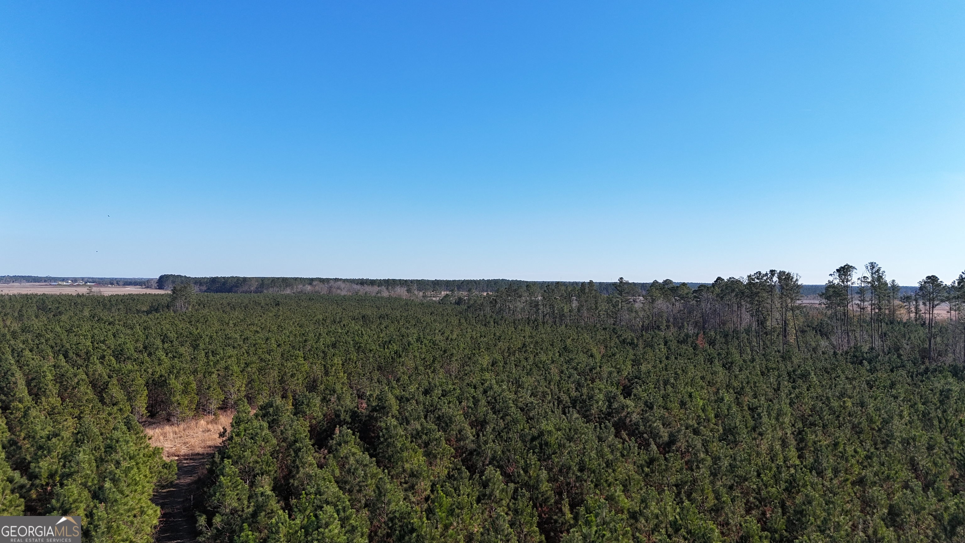 88-003a Pine Level Church Road Alma, GA 31539 - Photo 14 of 19