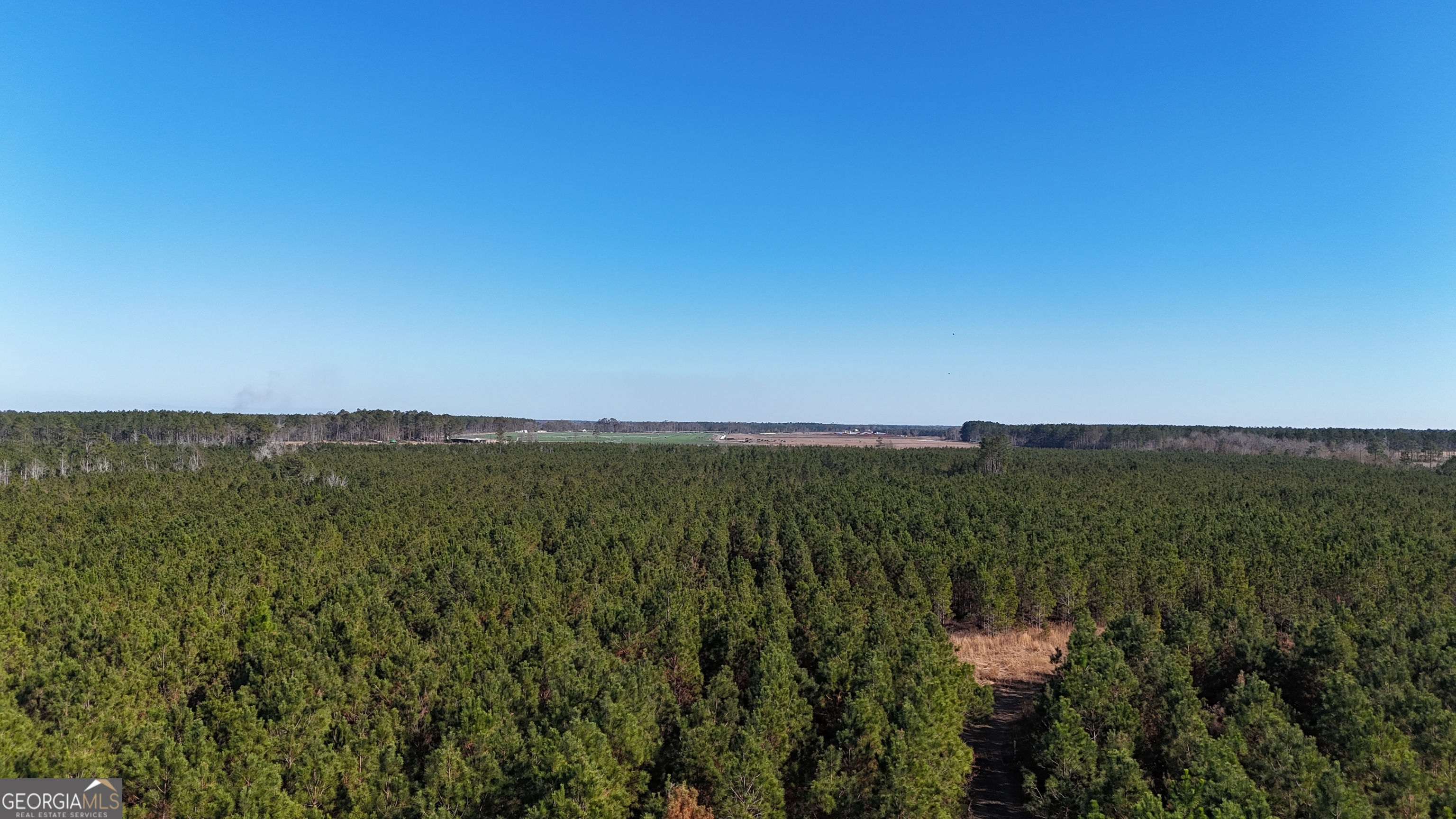 88-003a Pine Level Church Road Alma, GA 31539 - Photo 15 of 19