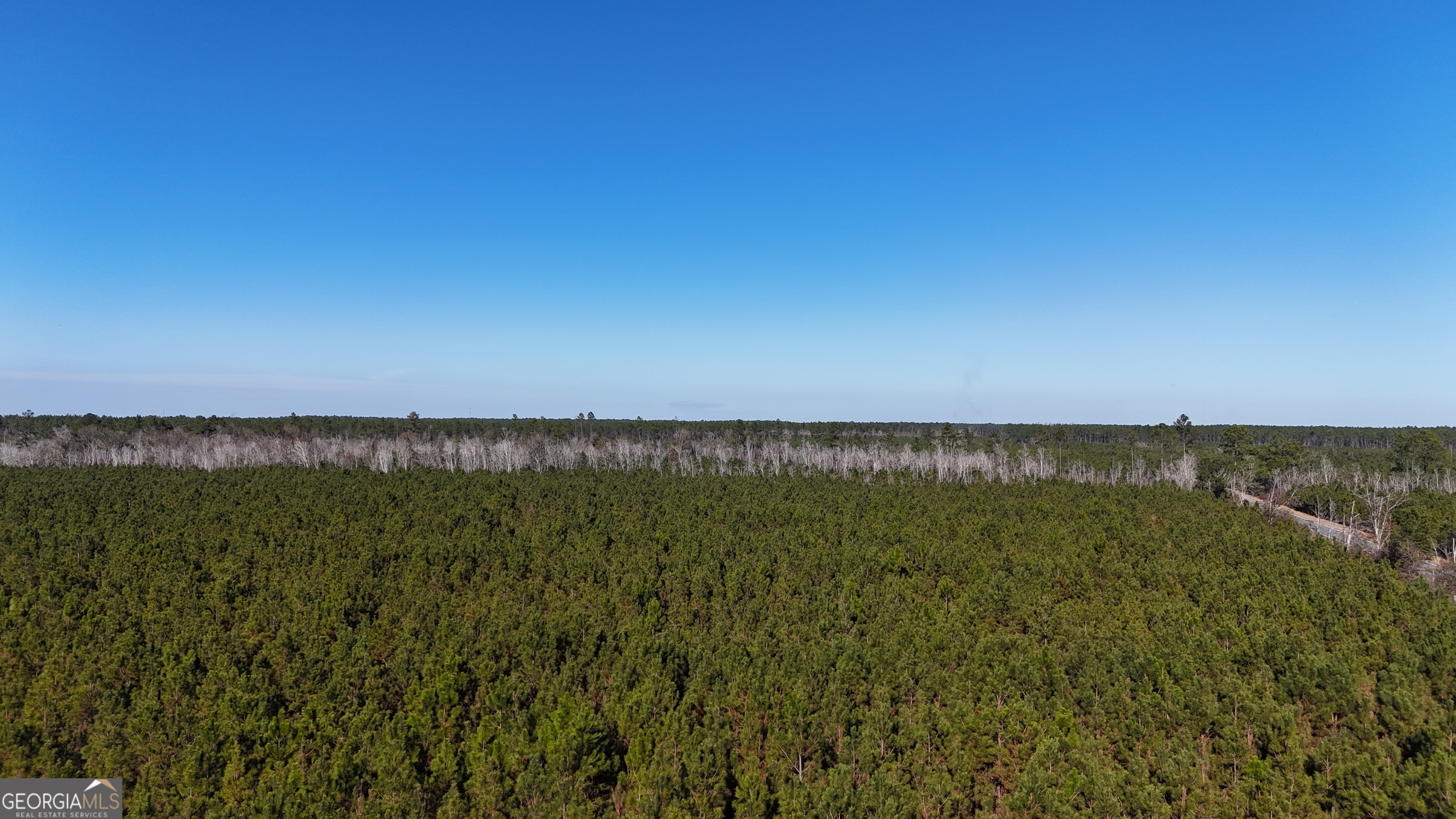 88-003a Pine Level Church Road Alma, GA 31539 - Photo 16 of 19