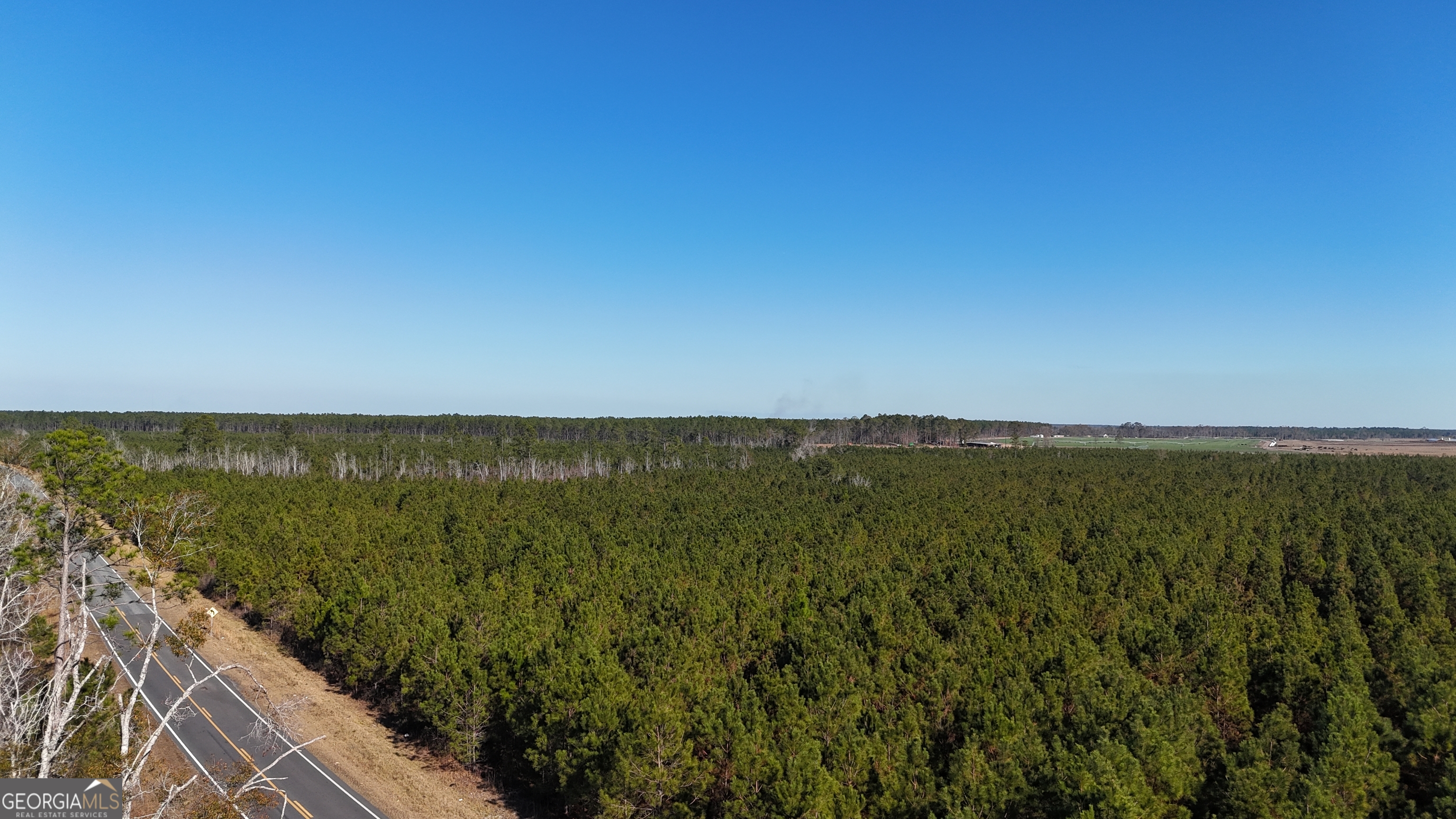 88-003a Pine Level Church Road Alma, GA 31539 - Photo 17 of 19