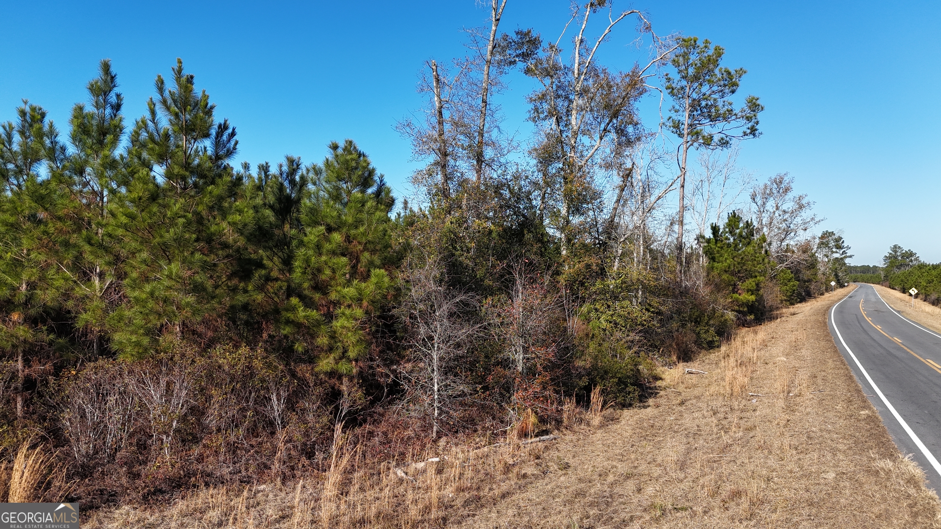 88-003a Pine Level Church Road Alma, GA 31539 - Photo 19 of 19