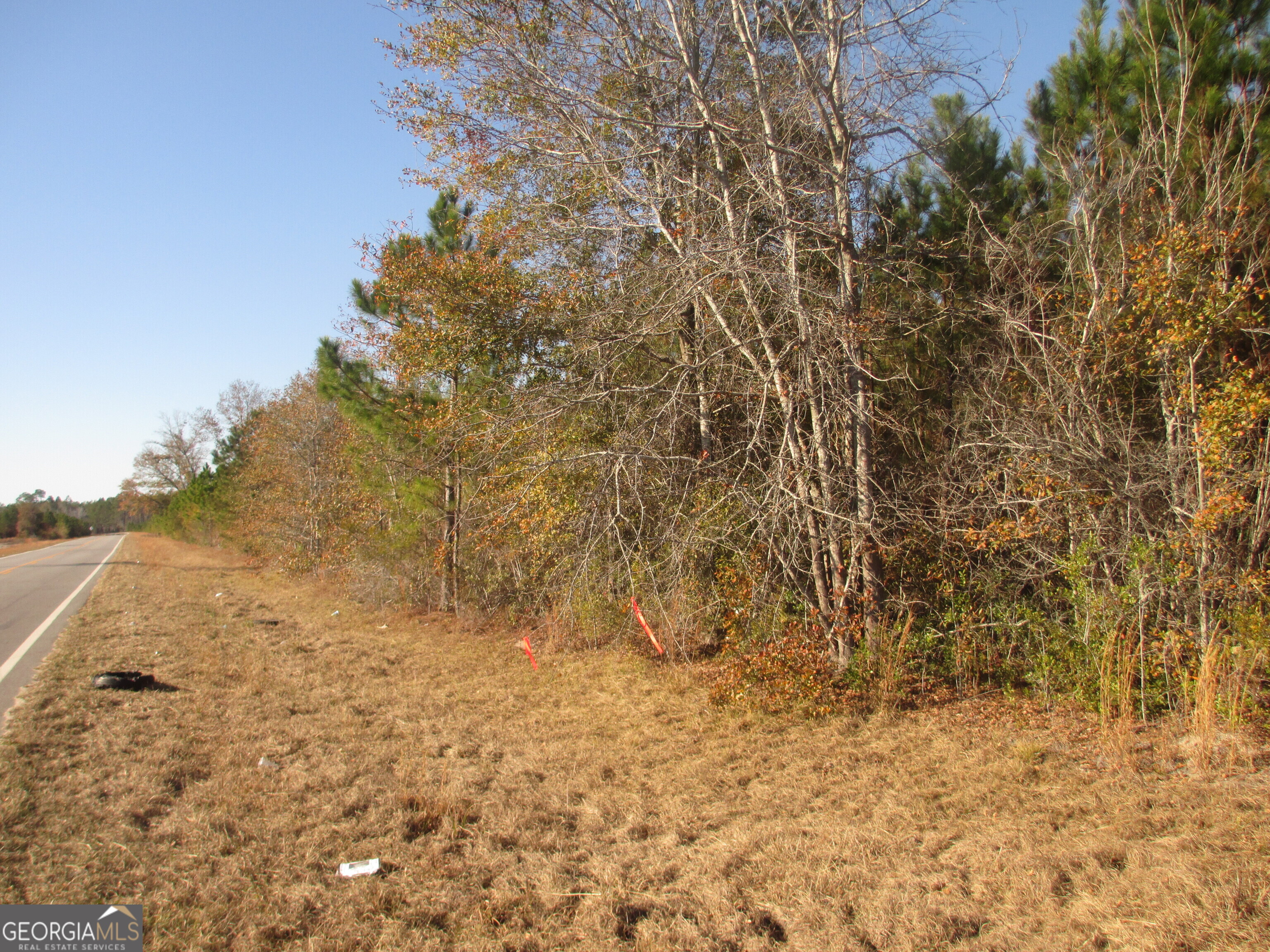 88-003a Pine Level Church Road Alma, GA 31539 - Photo 4 of 19 Paved frontage on two side of property