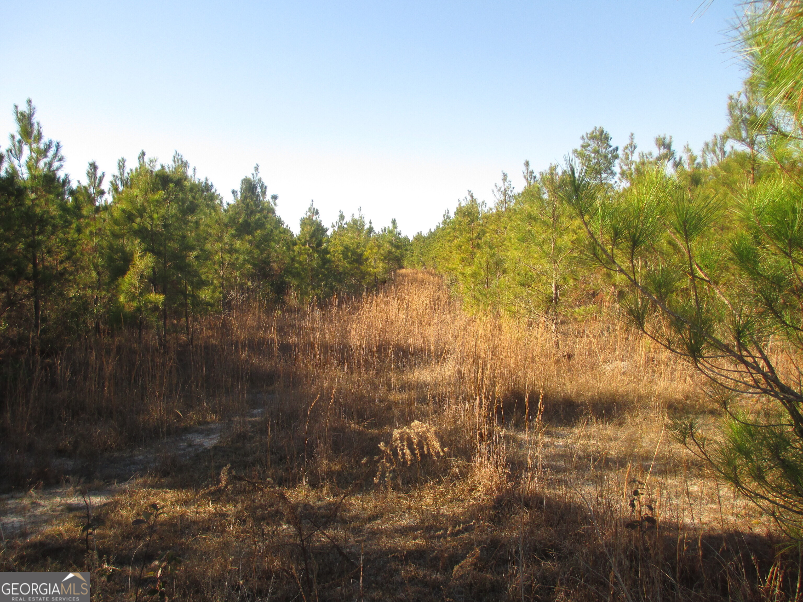 88-003a Pine Level Church Road Alma, GA 31539 - Photo 5 of 19 Access Roads