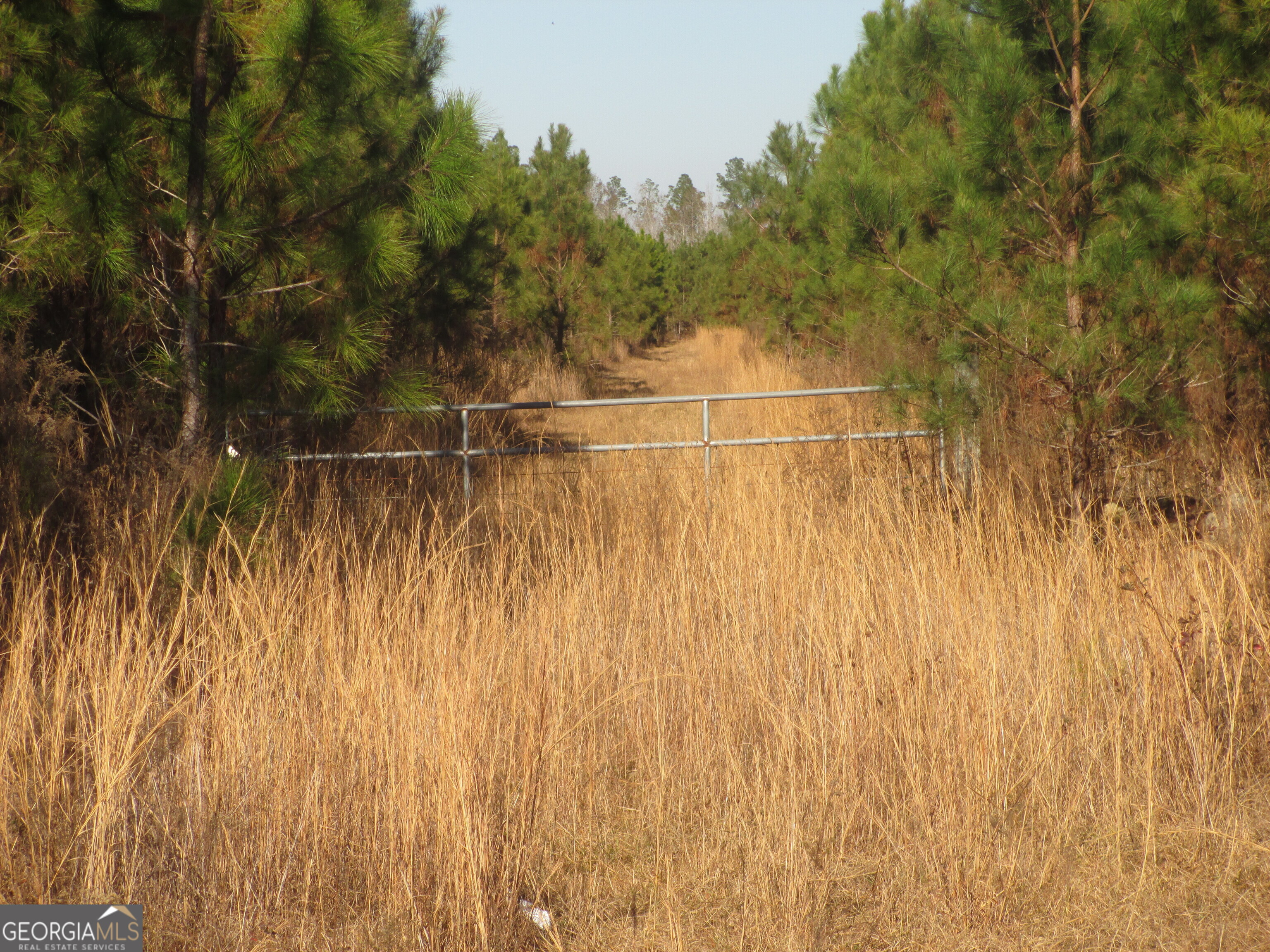 88-003a Pine Level Church Road Alma, GA 31539 - Photo 6 of 19 Access Roads