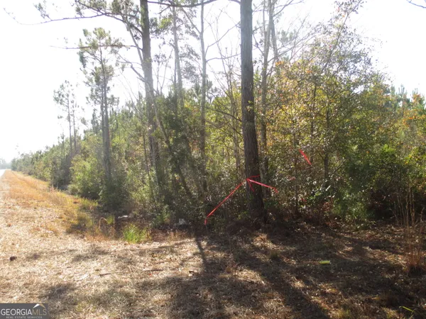 a view of a dry yard with trees in the background