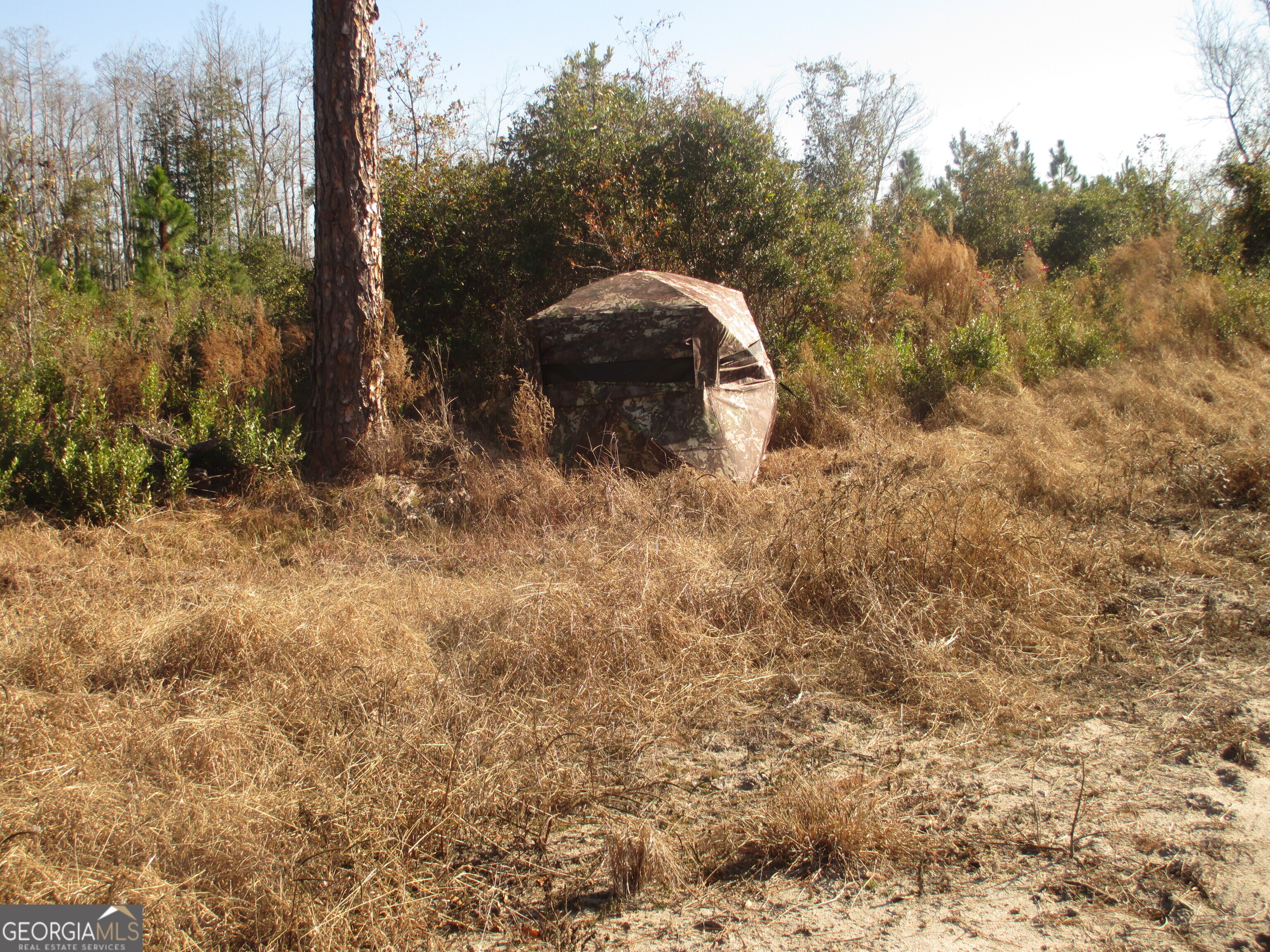 88-003a Pine Level Church Road Alma, GA 31539 - Photo 10 of 19 Wildlife Blind
