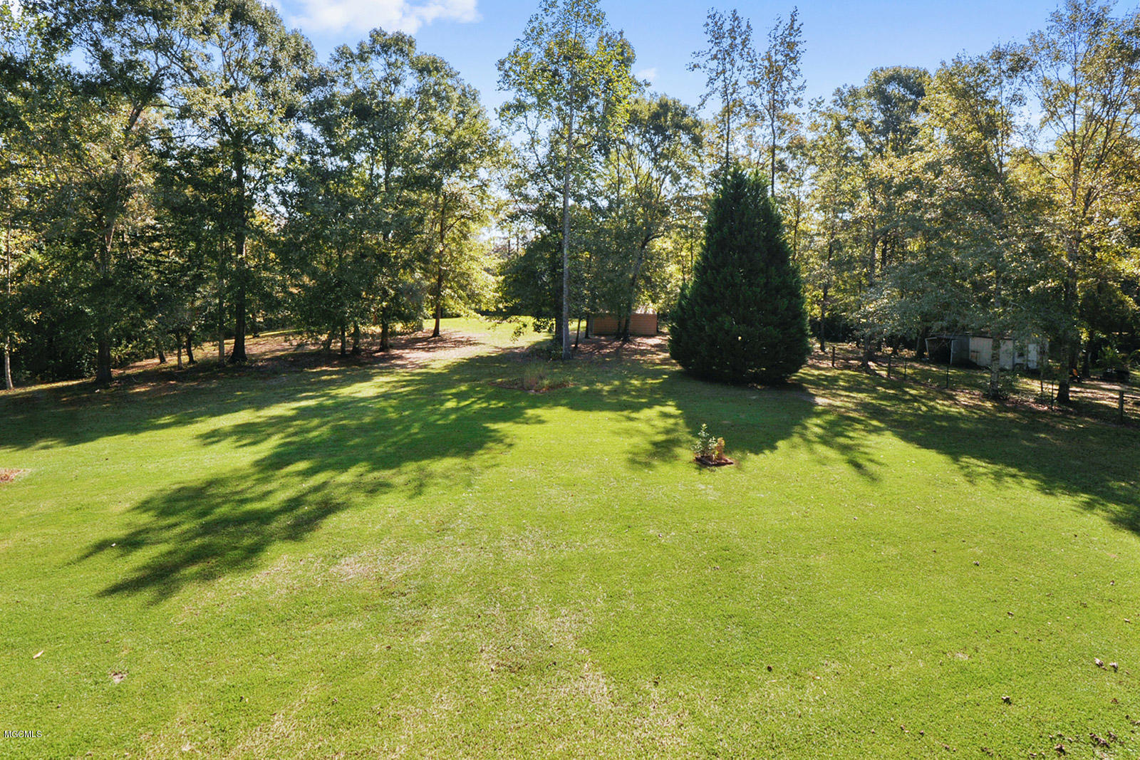 39 Jim Bowden Road McHenry, MS 39561 - Photo 5 of 15 Back Yard