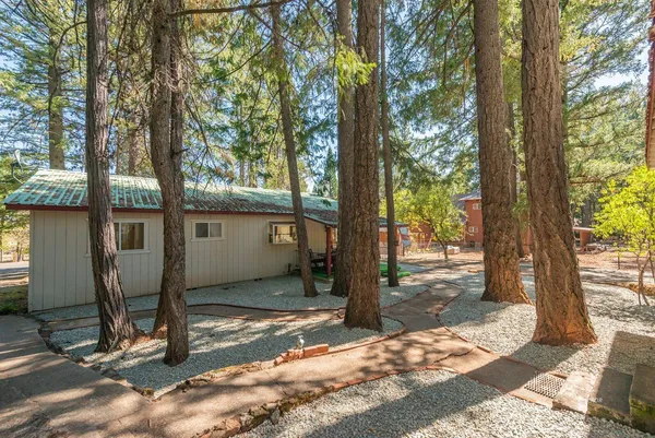 a view of a tree in front of a house